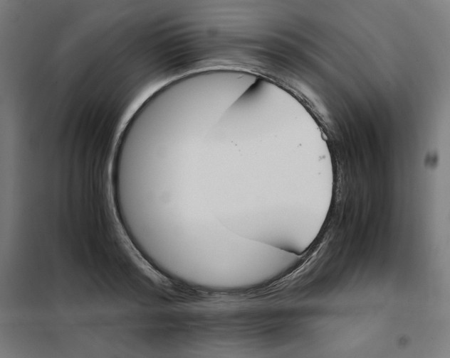 X0000101390796200807280936