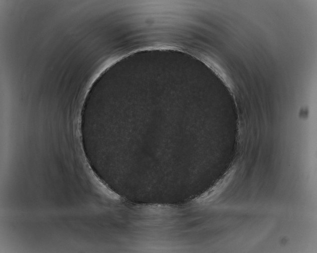 X0000101390797200807280936