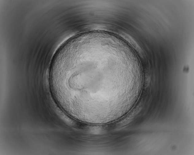 X0000101390798200807280936