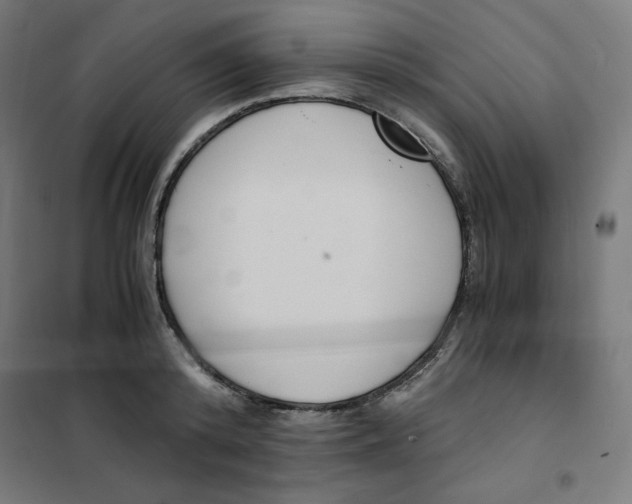 X0000101390800200807280936