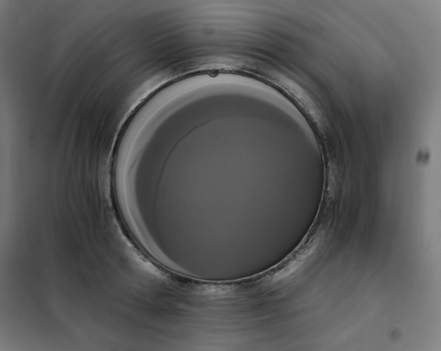 X0000101390802200807280936