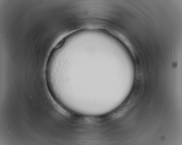 X0000101390803200807280936