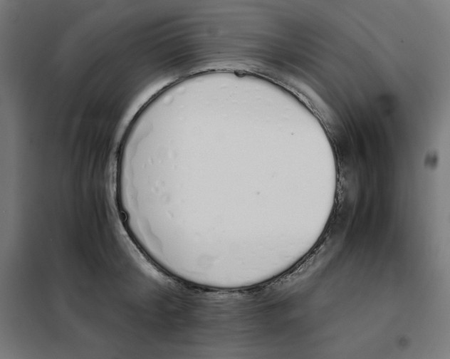 X0000101390804200807280936