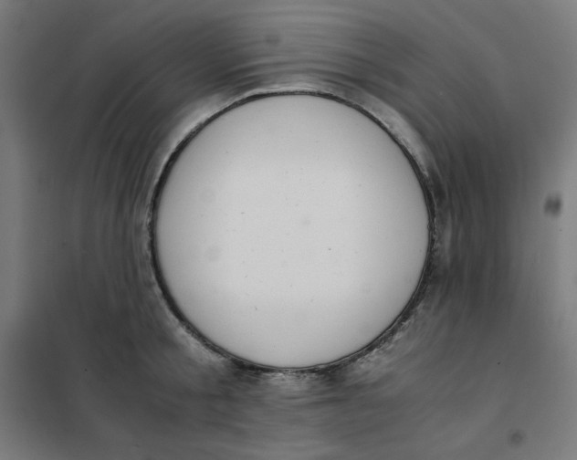 X0000101390805200807280936