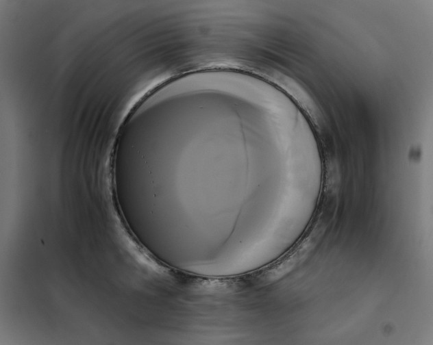 X0000101390806200807280936