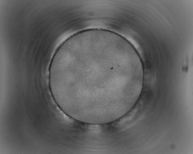 X0000101390807200807280936