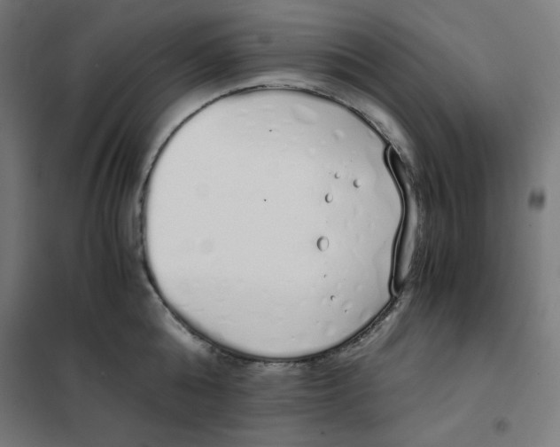 X0000101390808200807280936