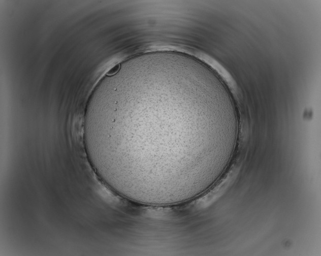 X0000101390809200807280936