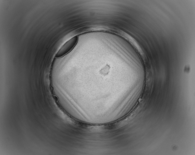 X0000101390810200807280936