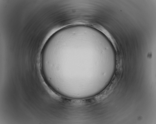 X0000101390811200807280936