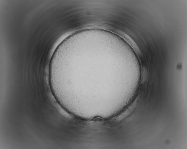 X0000101390812200807280936