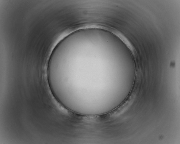 X0000101390813200807280936