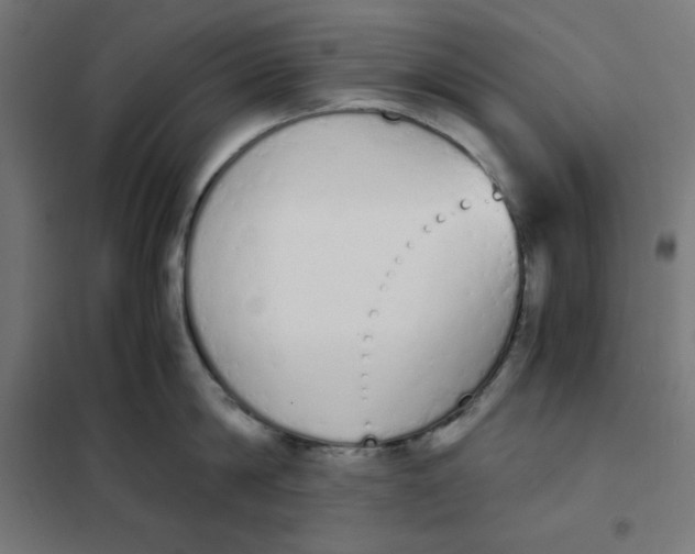 X0000101390814200807280936