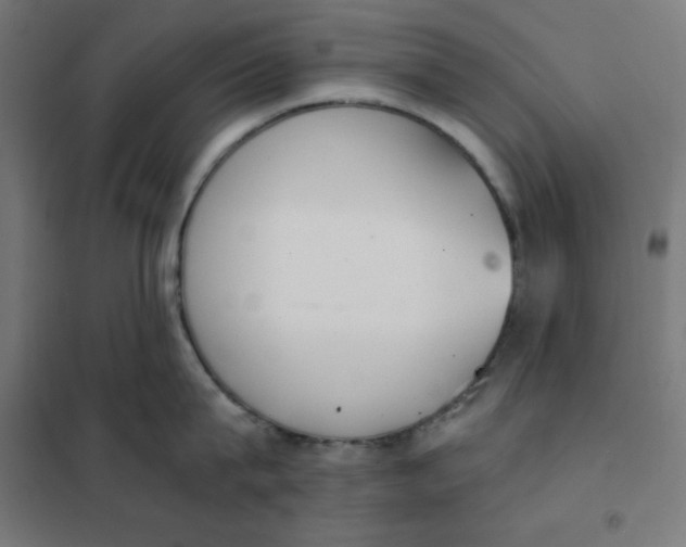X0000101390815200807280936
