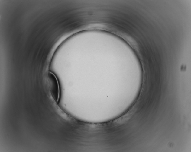 X0000101390816200807280936