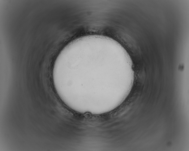 X0000101390817200807280935