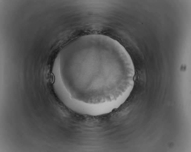 X0000101390818200807280935