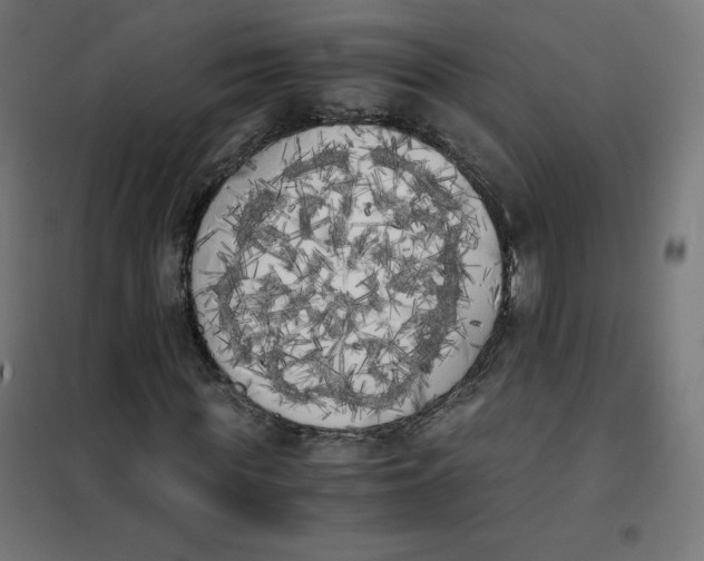 X0000101390819200807280935