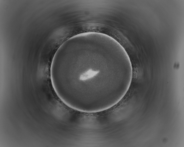 X0000101390820200807280935