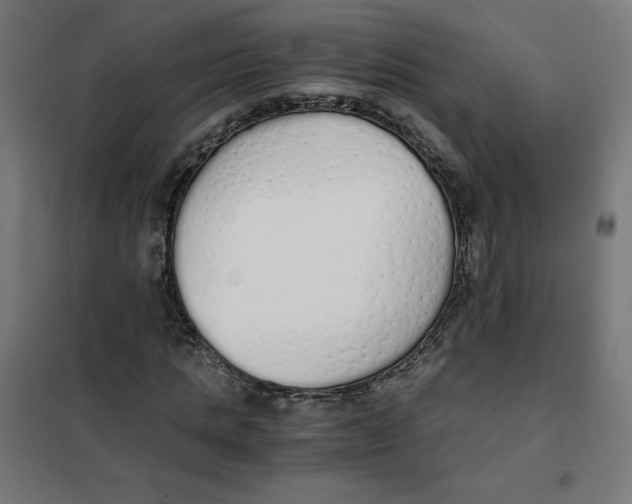 X0000101390821200807280935
