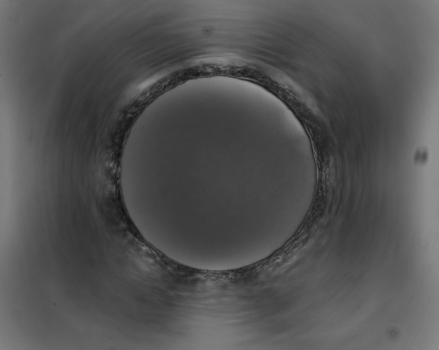 X0000101390822200807280935
