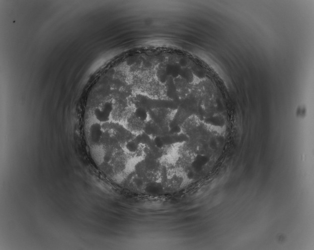 X0000101390823200807280935