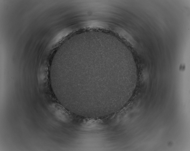 X0000101390824200807280935