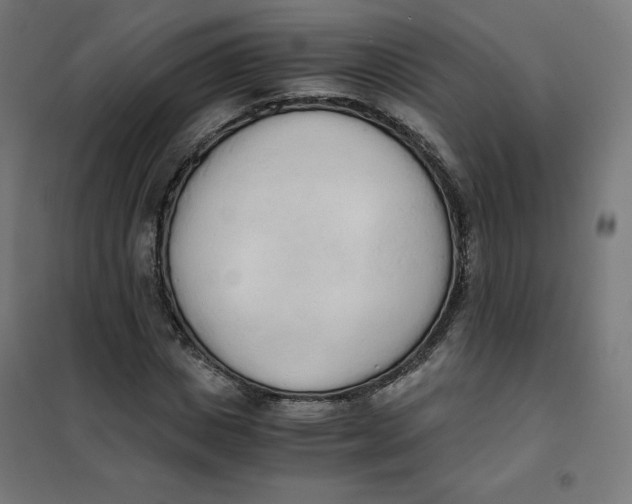 X0000101390825200807280935