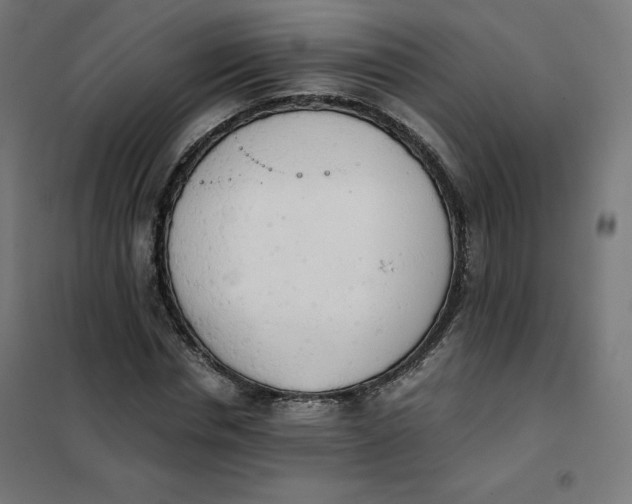 X0000101390826200807280935