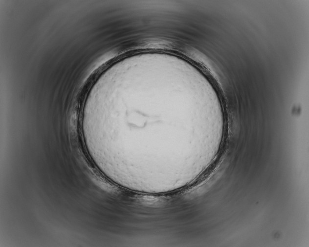 X0000101390827200807280936