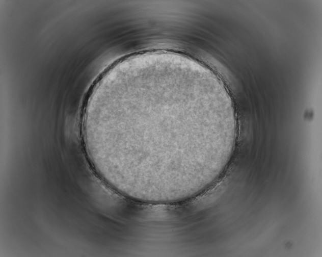 X0000101390828200807280936