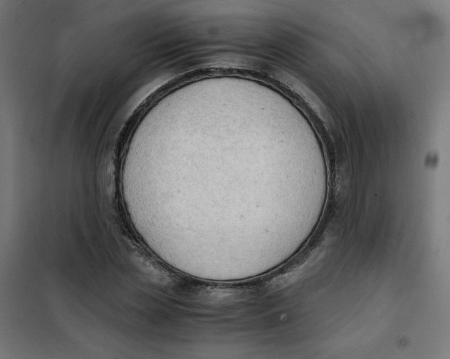 X0000101390829200807280936