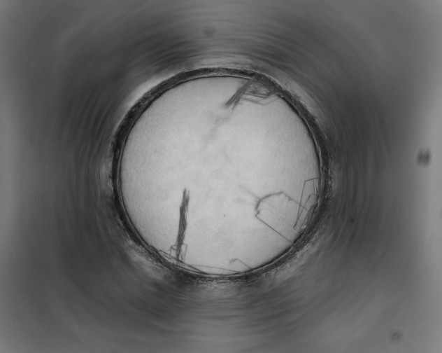 X0000101390830200807280936