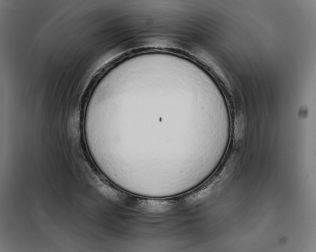 X0000101390831200807280936