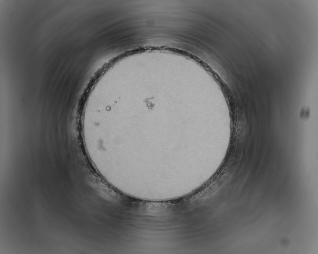 X0000101390832200807280936