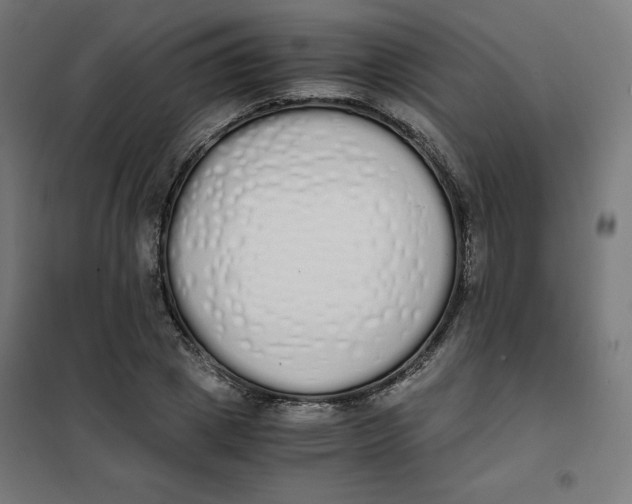 X0000101390833200807280936