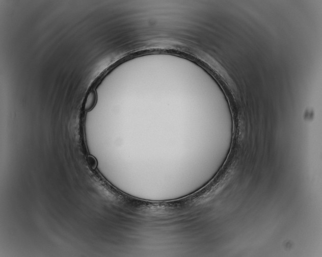 X0000101390834200807280936