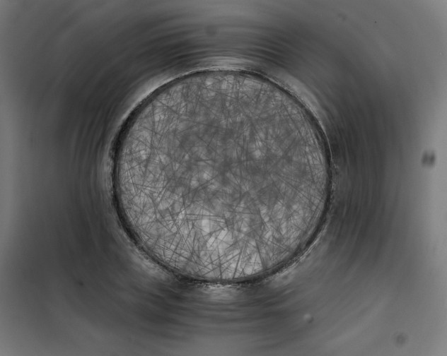 X0000101390835200807280936