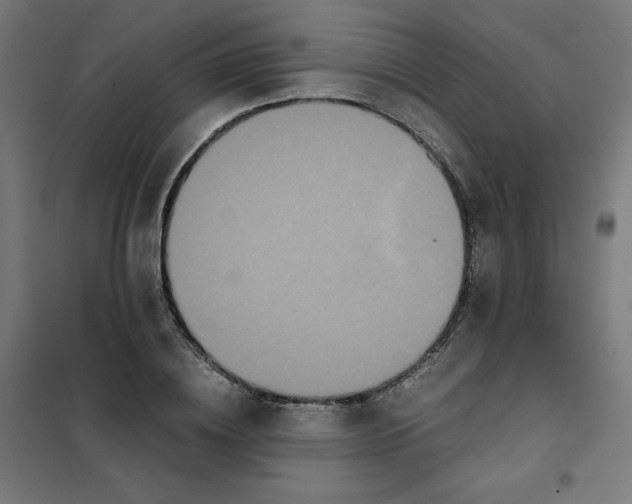 X0000101390836200807280936