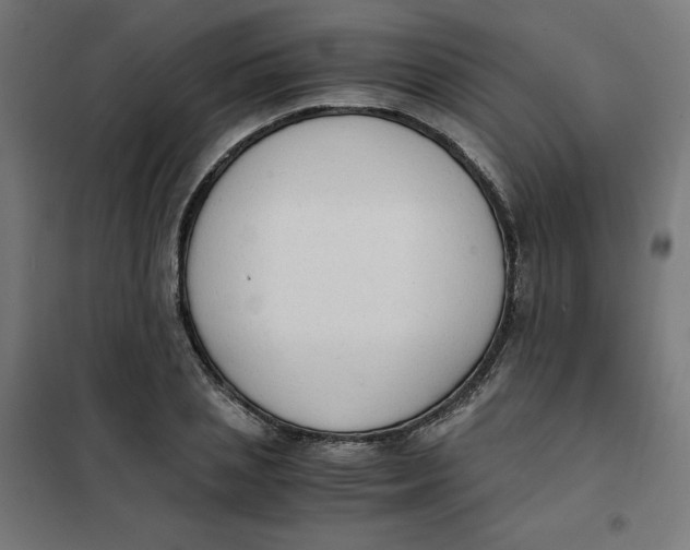 X0000101390837200807280936