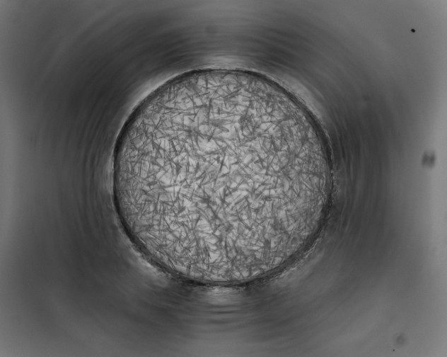 X0000101390839200807280936