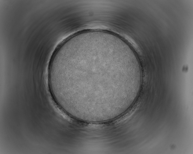 X0000101390840200807280936