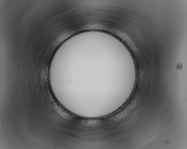 X0000101390841200807280936