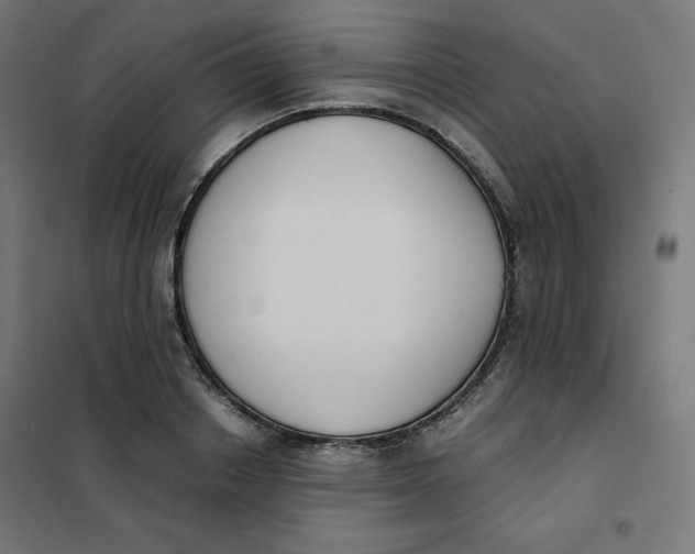X0000101390842200807280936