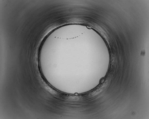 X0000101390843200807280936