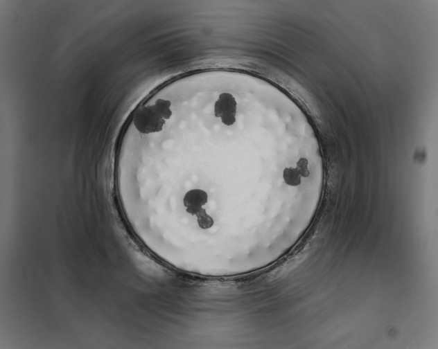 X0000101390844200807280936