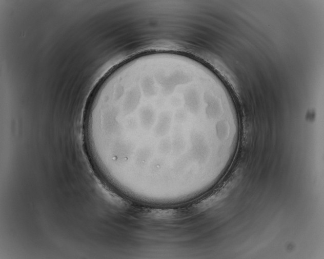 X0000101390845200807280936