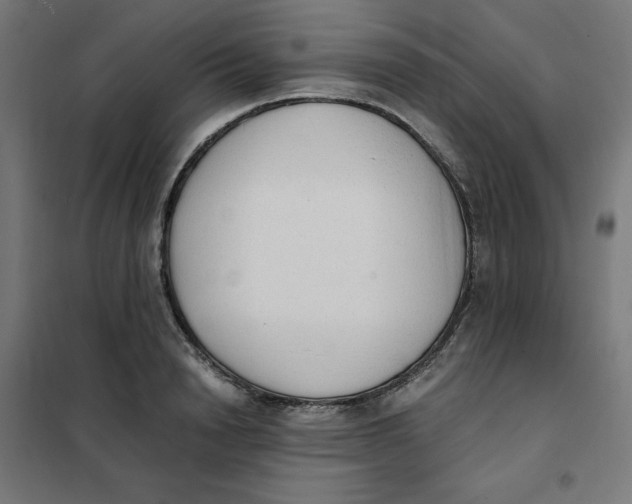 X0000101390846200807280936