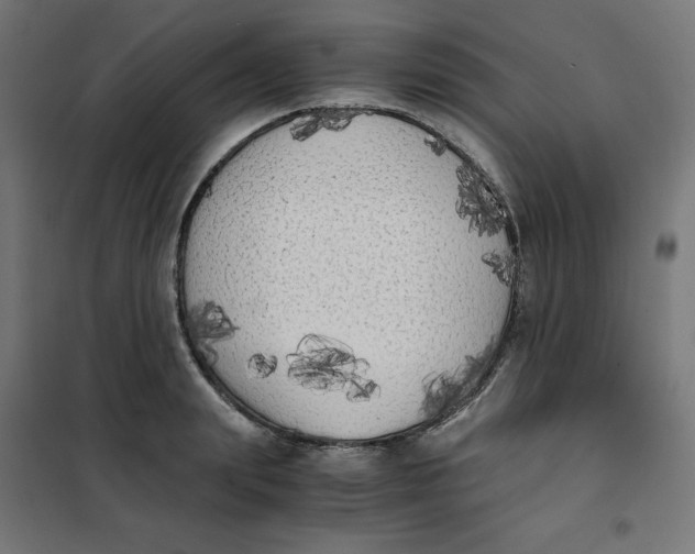 X0000101390847200807280936