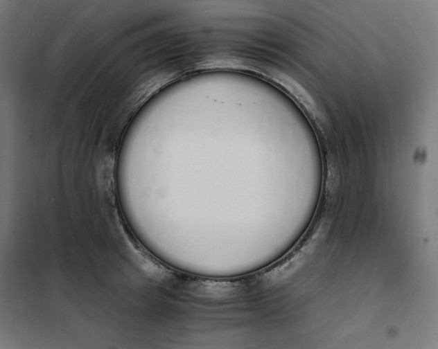 X0000101390849200807280936